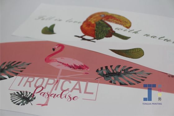 Impresión digital IML Etiquetas en molde para cestas de plástico Cestas de frutas de gran tamaño